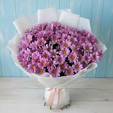 Букет цветов из:  Хризантемы #REPLACE_PRED# Ефремове