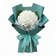 Букет цветов из:  Гортензия в Ефремове